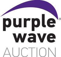 Purple Wave Auction